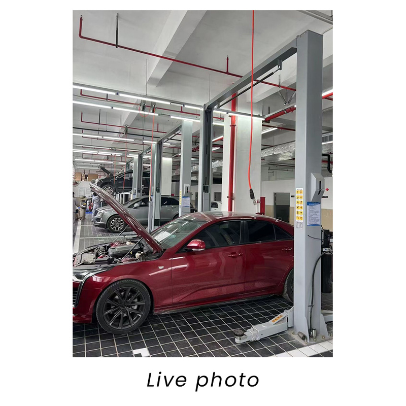 kg Capacity Car Hoist  Post Ve - огляд і ціна Car Lift